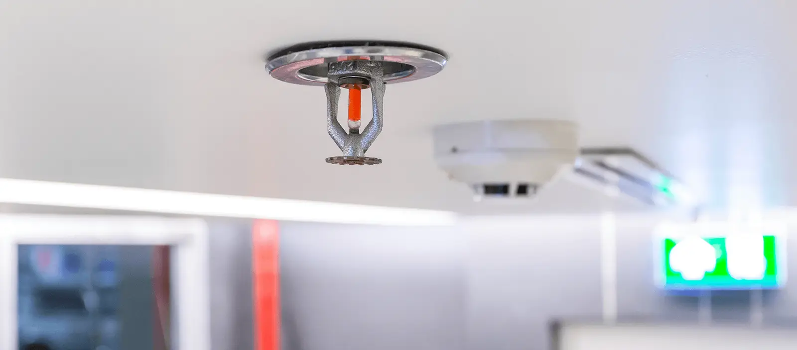 Fire Sprinkler Systems: A Guide to Choosing for Home & Business